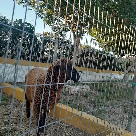 Pateo Laranjeiras